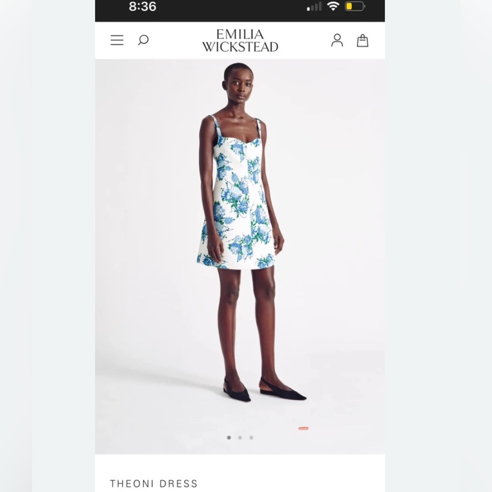 Emilia wickstead hydrangea dress